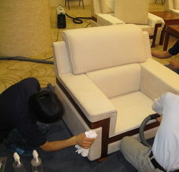黄马褂曹操到健康家政 品质保洁服务的新标杆
